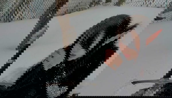 laurinchhhe image ~ Altpins