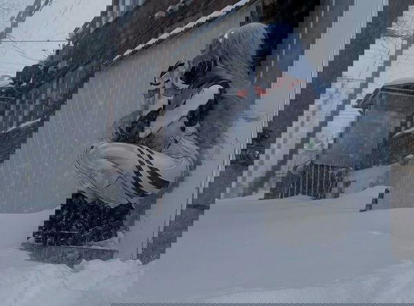 laurinchhhe image ~ Altpins