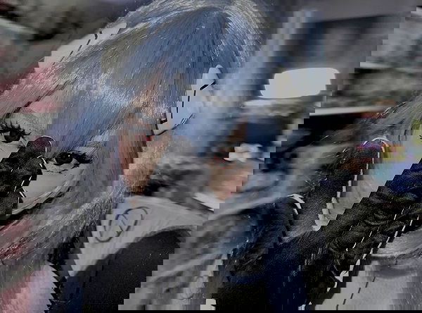 laurinchhhe image ~ Altpins