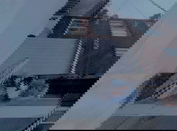 laurinchhhe image ~ Altpins