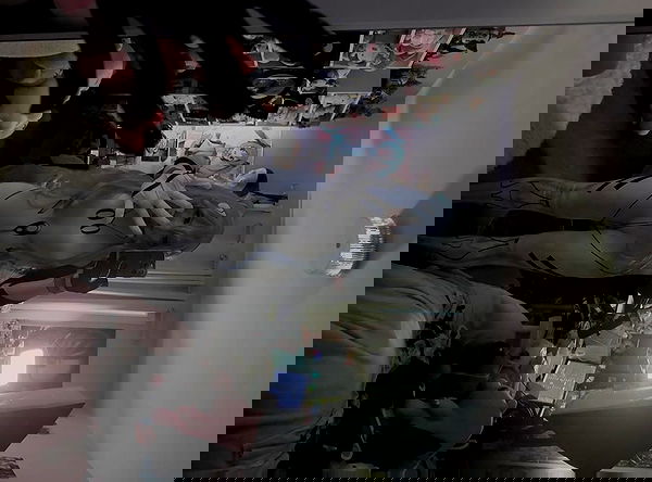 laurinchhhe image ~ Altpins