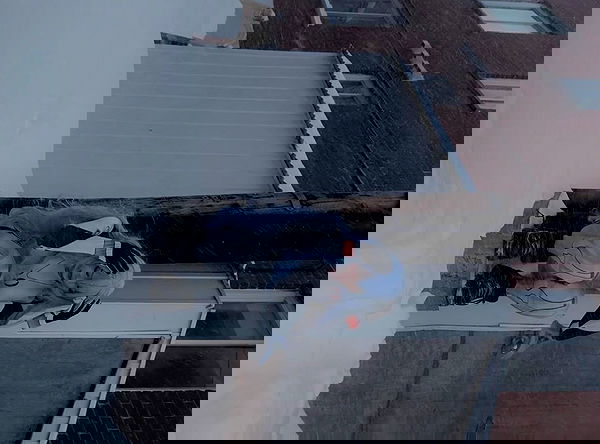 laurinchhhe image ~ Altpins