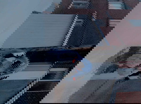 laurinchhhe image ~ Altpins