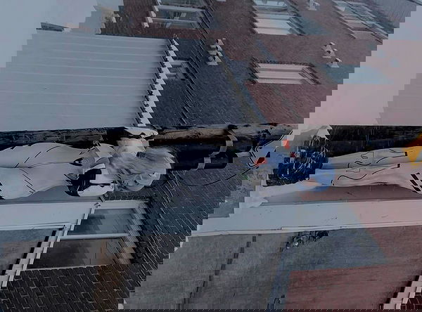 laurinchhhe image ~ Altpins