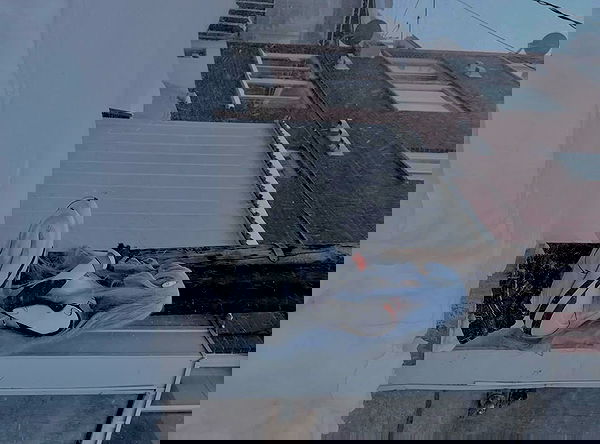 laurinchhhe image ~ Altpins