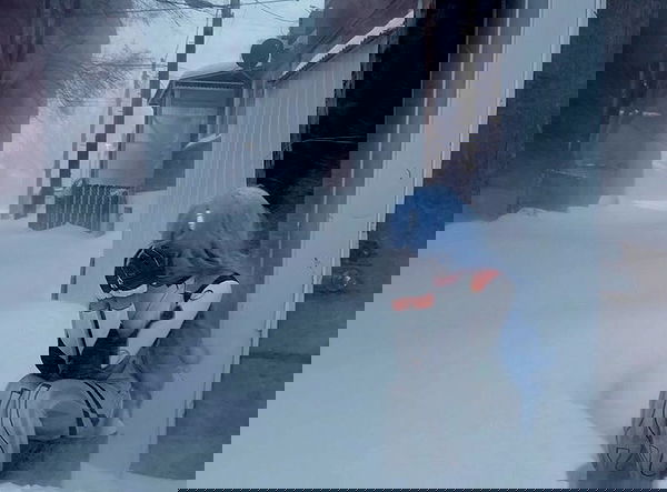 laurinchhhe image ~ Altpins