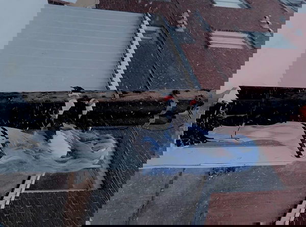 laurinchhhe image ~ Altpins