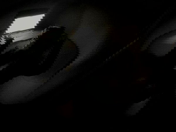 laurinchhhe image ~ Altpins