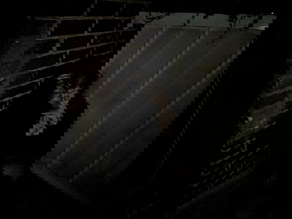 laurinchhhe image ~ Altpins