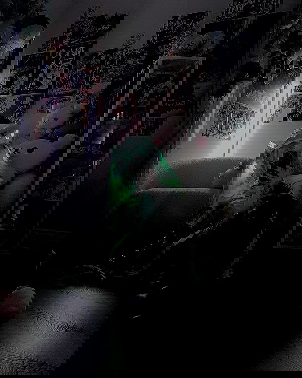 laurinchhhe image ~ Altpins