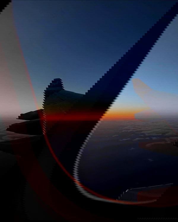 laurinchhhe image ~ Altpins