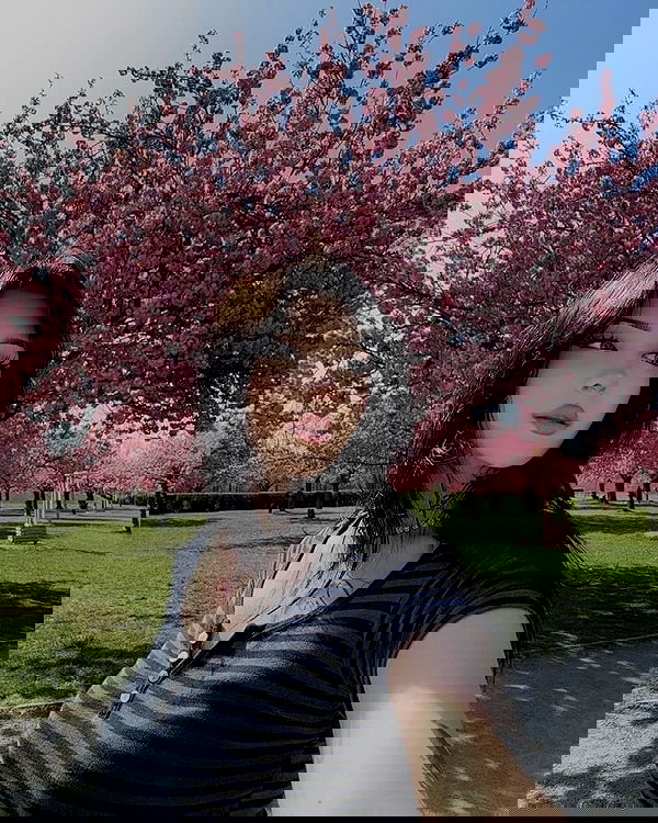 laurinchhhe image ~ Altpins