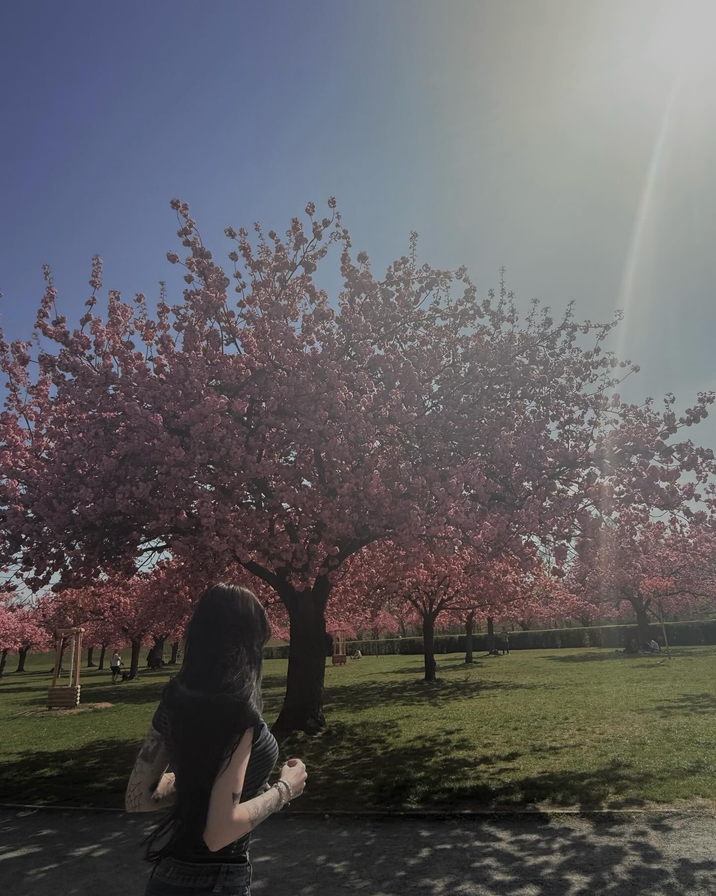 laurinchhhe instagram image archive image