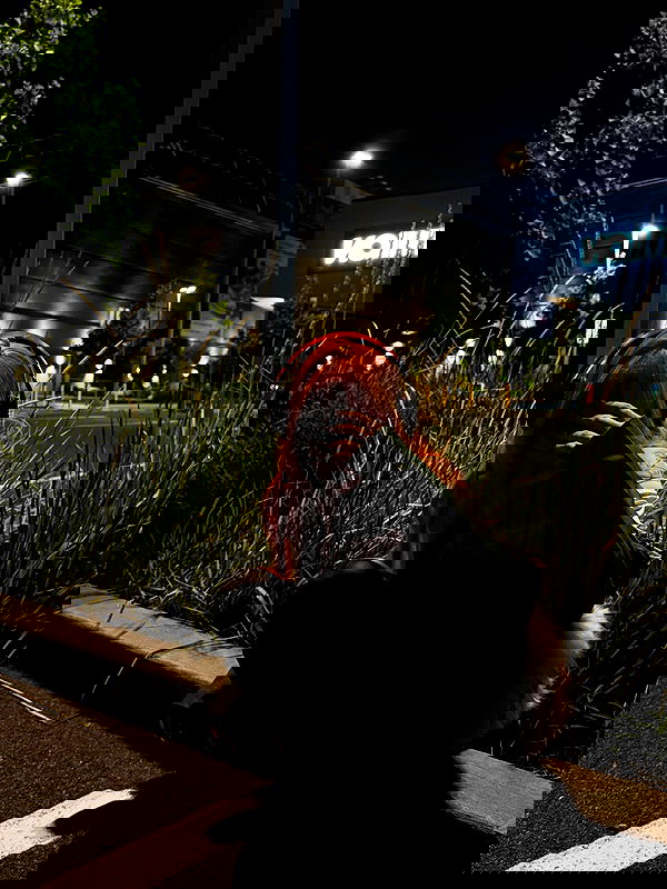 laurinchhhe image ~ Altpins