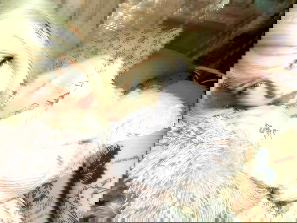 laurinchhhe image ~ Altpins