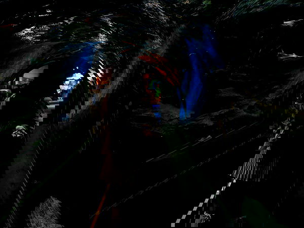 laurinchhhe image ~ Altpins