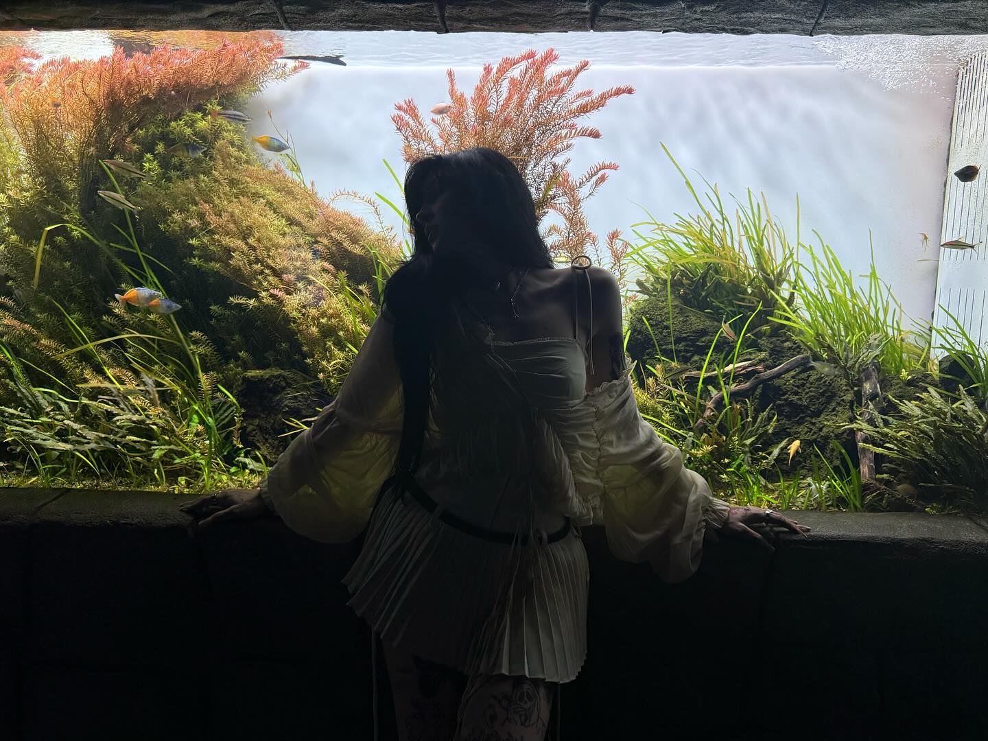 laurinchhhe instagram image archive image