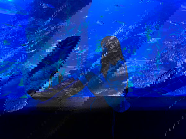 laurinchhhe image ~ Altpins