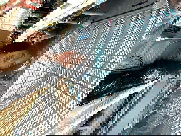 laurinchhhe image ~ Altpins