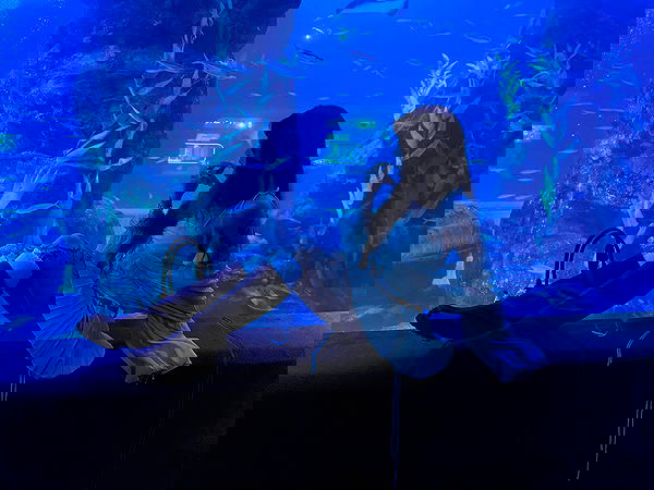 laurinchhhe image ~ Altpins