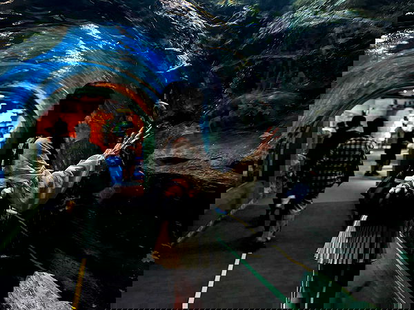 laurinchhhe image ~ Altpins