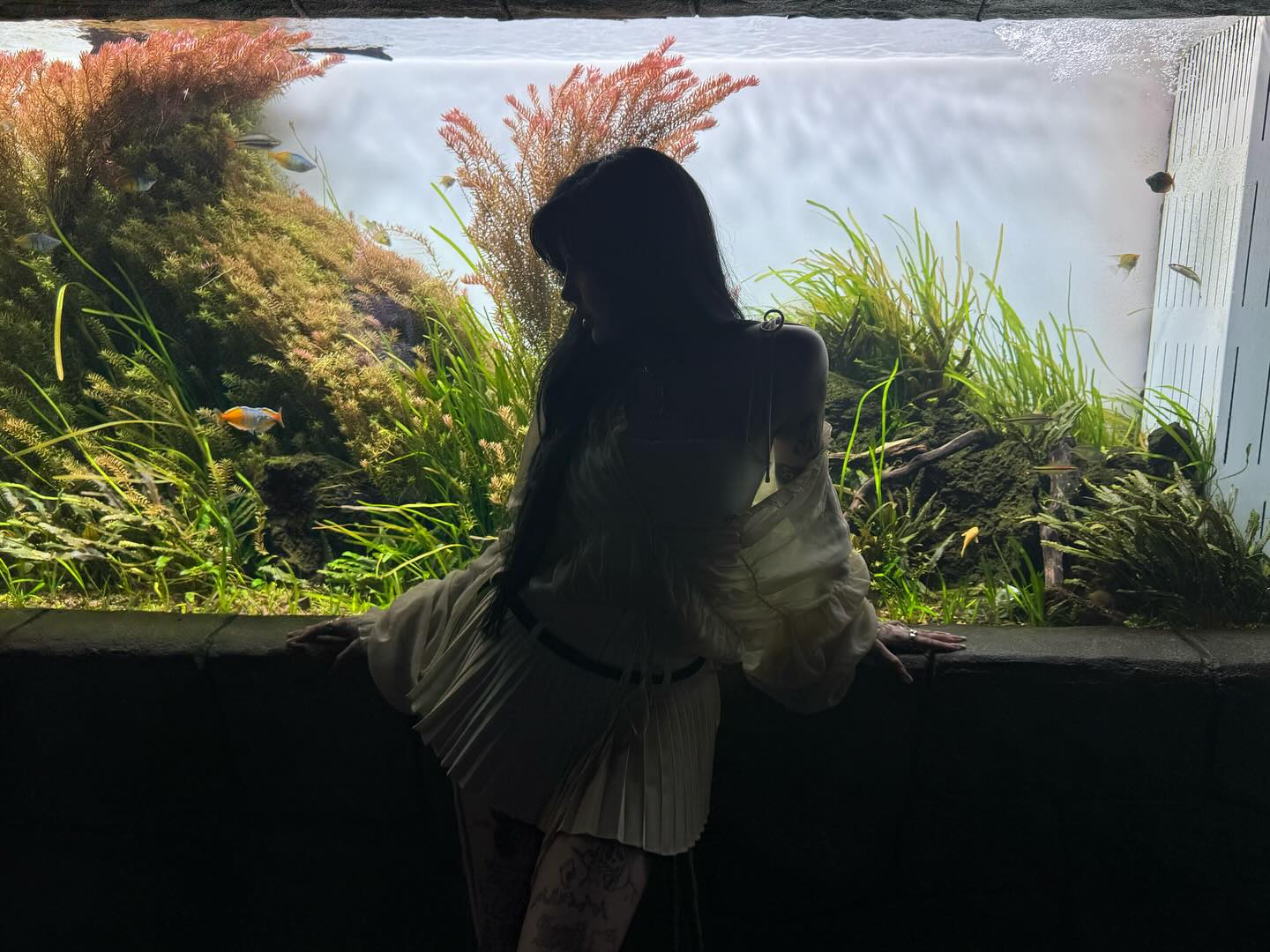 laurinchhhe instagram image archive image