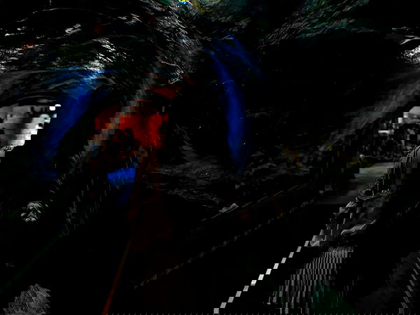 laurinchhhe image ~ Altpins