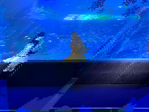 laurinchhhe image ~ Altpins