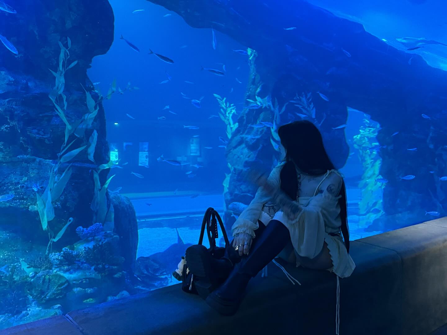 laurinchhhe instagram image archive image