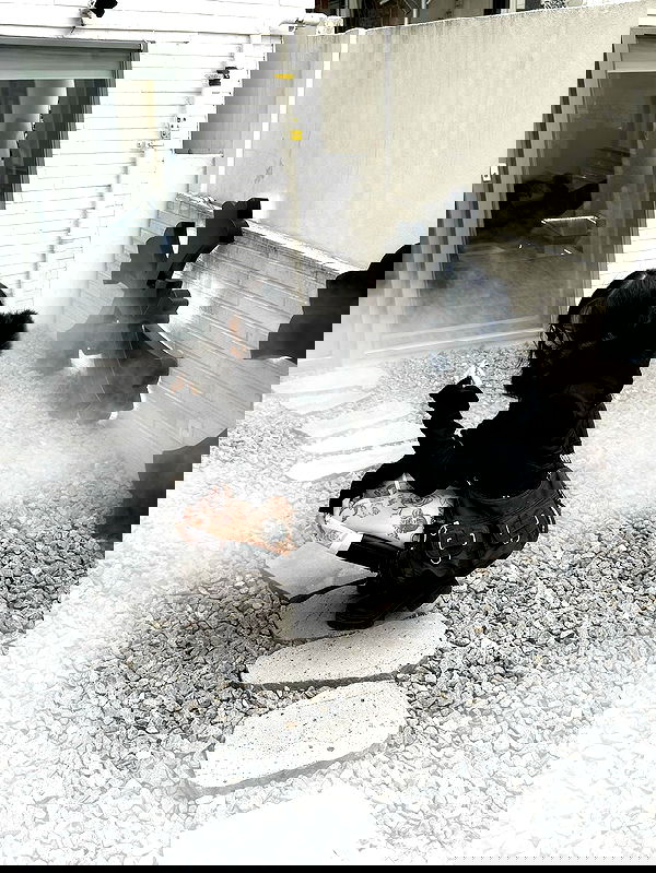 laurinchhhe image ~ Altpins