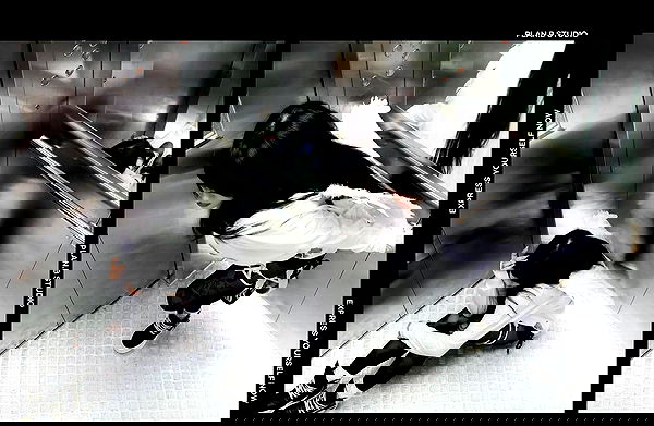 laurinchhhe image ~ Altpins