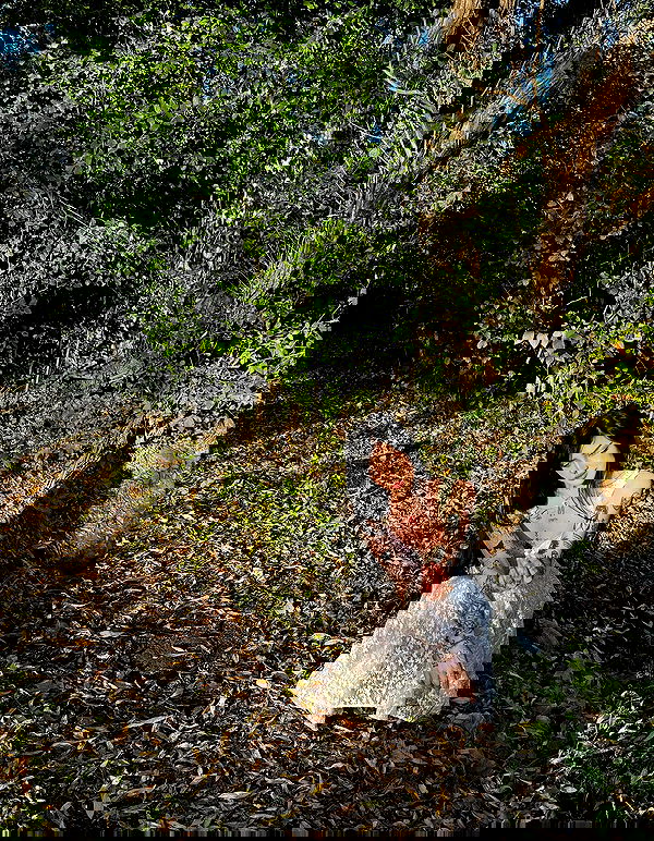 laurinchhhe image ~ Altpins