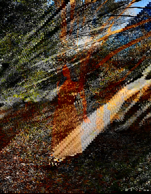 laurinchhhe image ~ Altpins