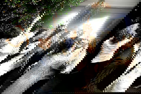 laurinchhhe image ~ Altpins