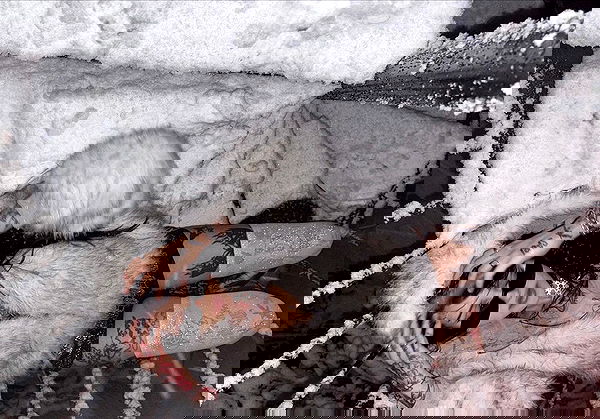 laurinchhhe image ~ Altpins