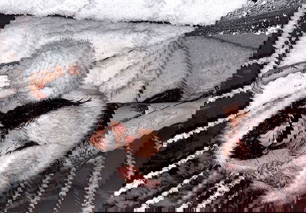 laurinchhhe image ~ Altpins