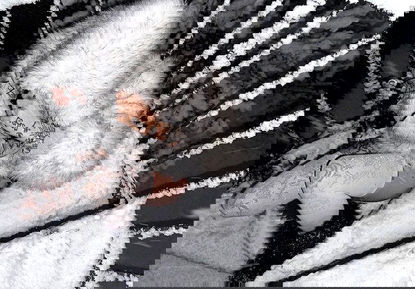 laurinchhhe image ~ Altpins