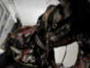 lavbackpack Altpins Profile Picture