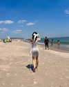 lee.zip24 Altpins Profile Picture