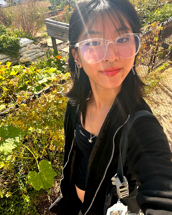 lee.zip24 instagram image archive image