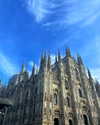 leelafleck Altpins Profile Picture
