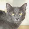 leelafleck Altpins Profile Picture