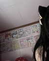 legrwmers Altpins Profile Picture