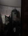 legrwmers Altpins Profile Picture