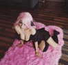 leighbunbun Altpins Profile Picture