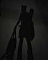 lejinfan Altpins Profile Picture