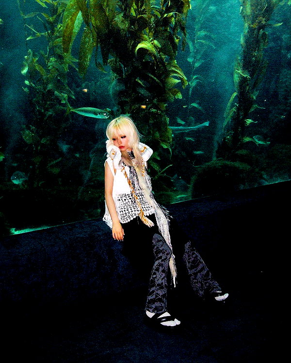 lejinfan instagram image archive image