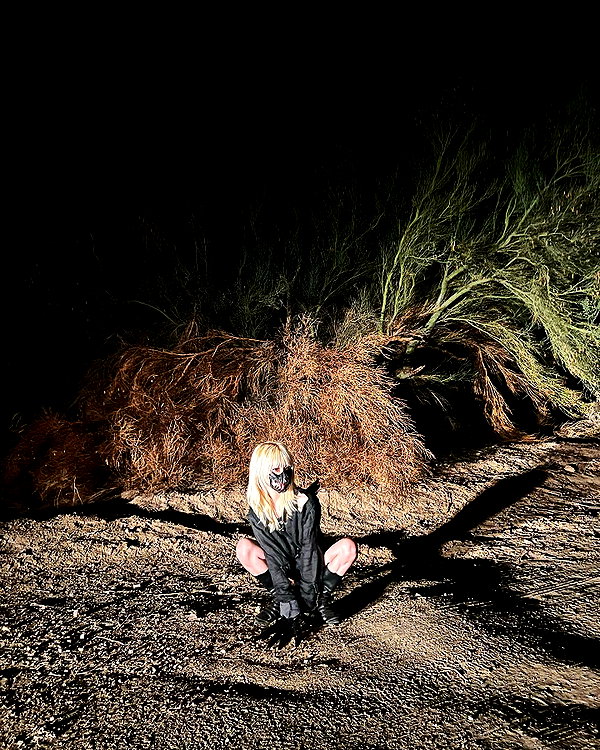 lejinfan instagram image archive image