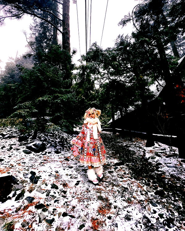 lejinfan instagram image archive image