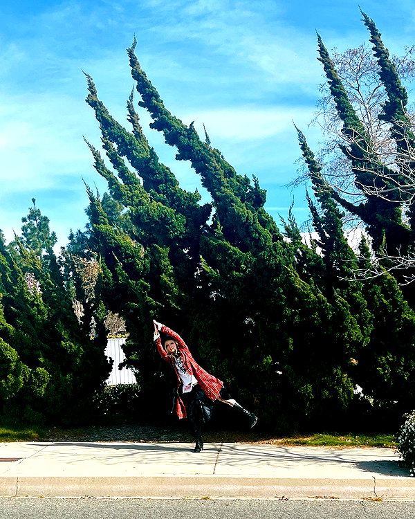 lejinfan instagram image archive image